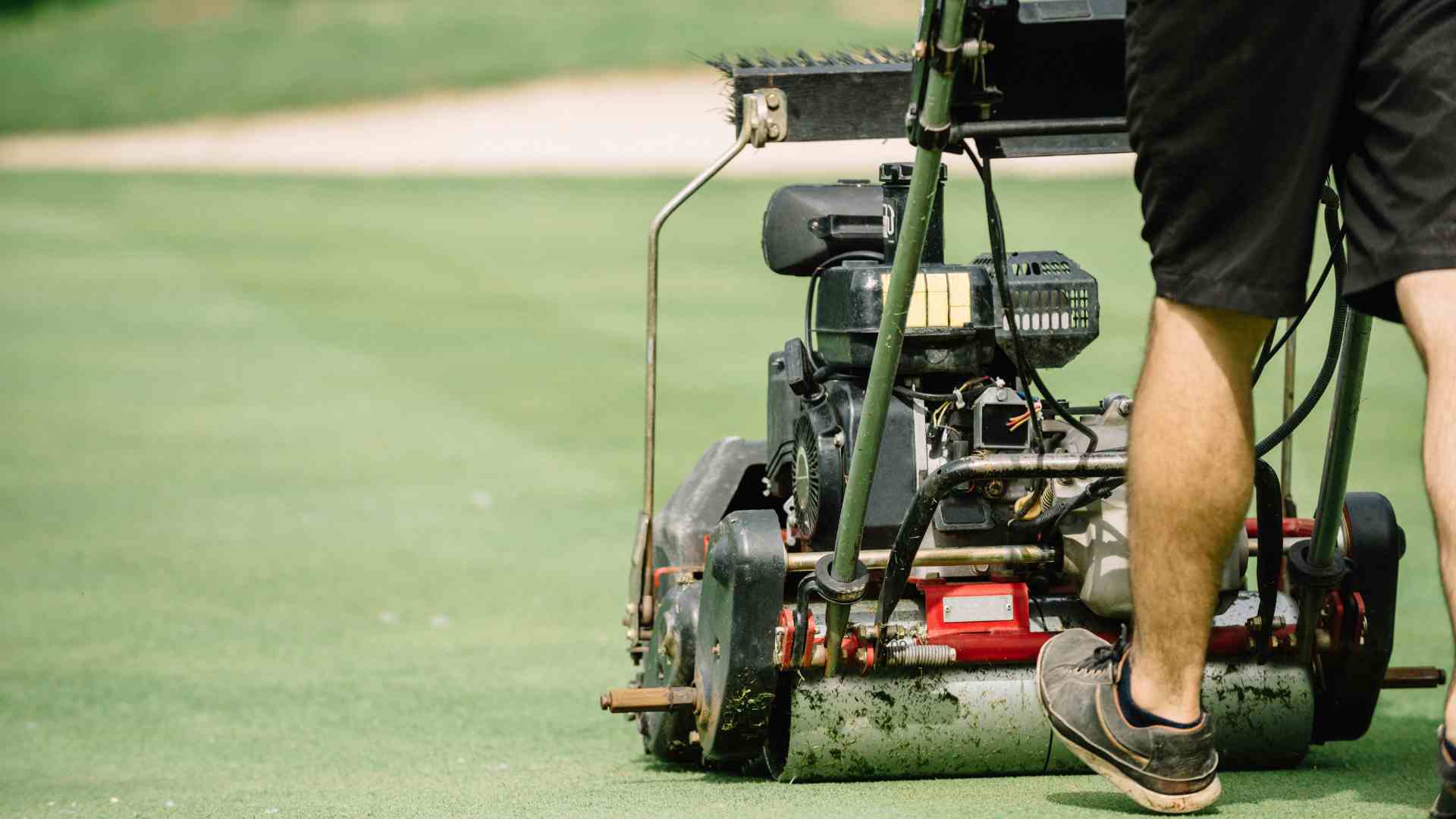 Close up of a man using a compact lawn mower to maintain a golf course green